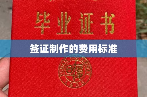 南漳签证制作的费用标准