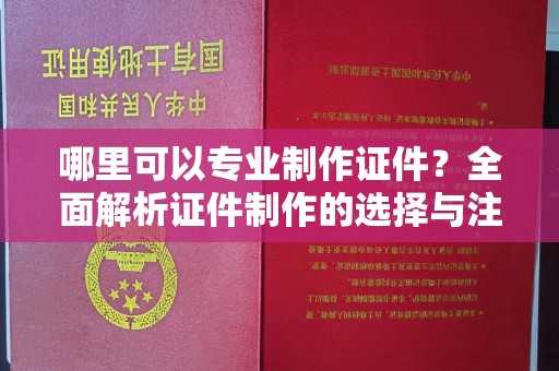 南漳哪里可以专业制作证件？全面解析证件制作的选择与注意事项