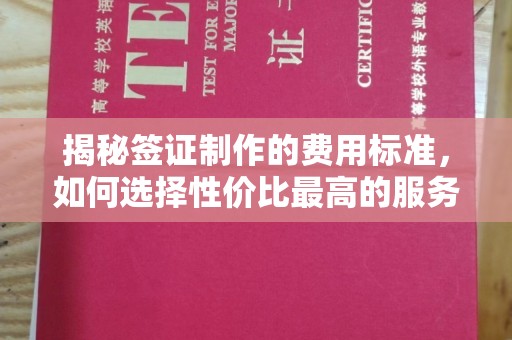 南漳揭秘签证制作的费用标准，如何选择性价比最高的服务？